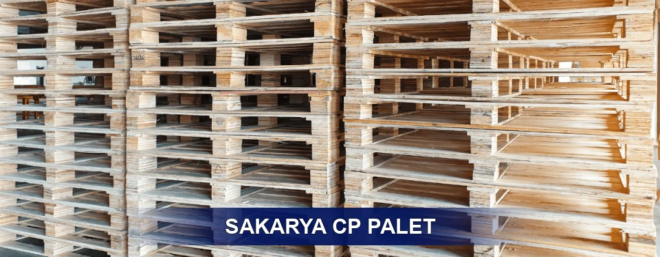 Sakarya Standart Tipler