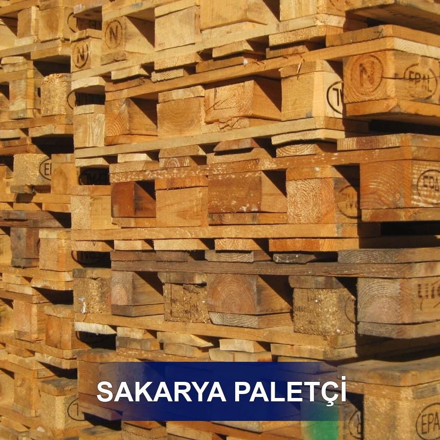 Sakarya Paletçi