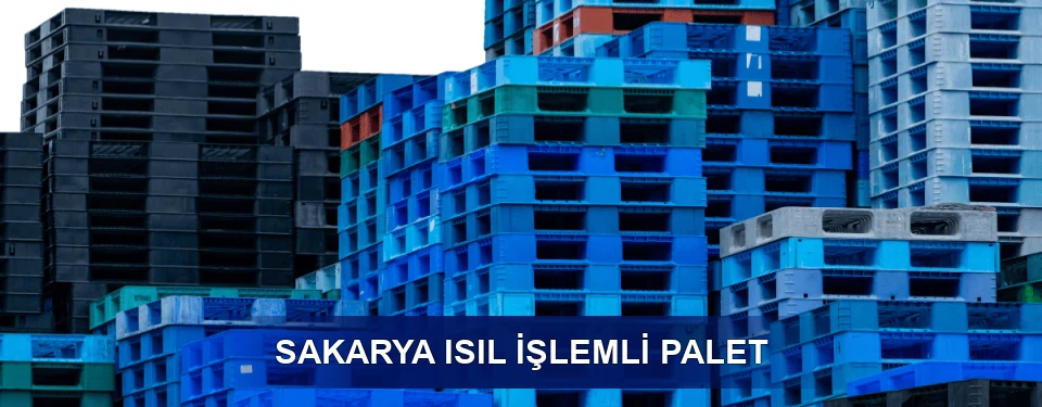 Sakarya İşaretleme