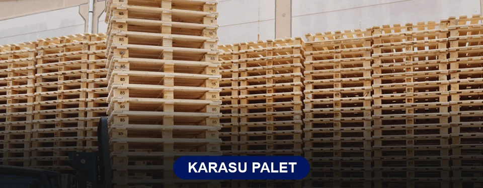 Karasu Paletçi