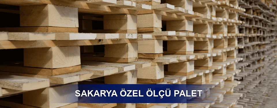 Sakarya Yük Kapasitesi