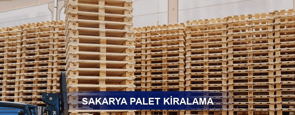Sakarya Uzun Dönem
