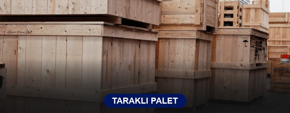 Taraklı Paletçi